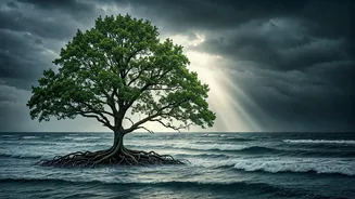 You Can Bounce Back From Life's Challenges