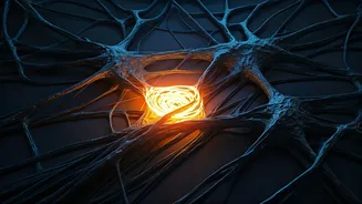 AI Chatbots and the Risk of Reinforcing Delusional Thinking: A Growing Concern