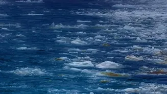 Why A New Antarctica Study And Atmospheric Rivers Are Both In Focus