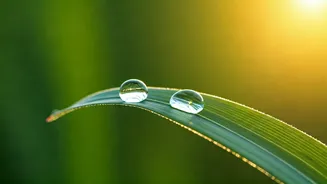 Unlocking Inner Peace: Sri Sri Ravi Shankar's Wisdom on Self-Discovery and Contentment