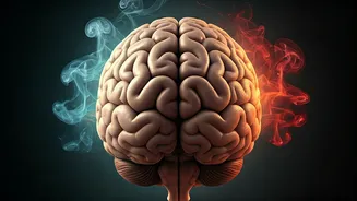 Migraine Triggers Unveiled: How Pollution, Heat, and Humidity Impact Sufferers