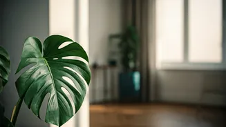 Airflow Is The Underrated Plant-Parent Hack