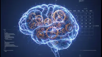 Researchers Explore The Timing Behind AI Work And Study Sessions