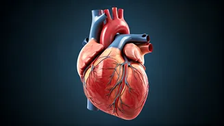 5 Habits Harming Your Heart, According to a Top Cardiologist