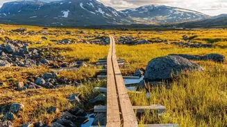 Explore Sweden Arctic Wonders On Foot Through These Highly Rated Wilderness Hiking Trails
