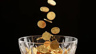 Gold Mutual Funds vs Sovereign Gold Bonds How To Skip Making Fees