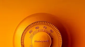 Storage Temperature Matters for Frozen Vegetable Quality