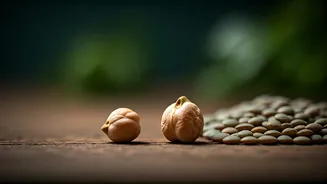 Gut-Friendly Legumes Are Winning Health-Conscious Foodies