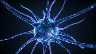 This AI Reads Brain Activity, Not Actual Thoughts