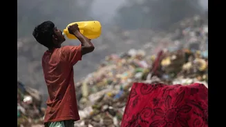 Related Stories banner