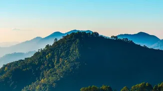 How India's Forests Are Responding To New Rainfall Trends