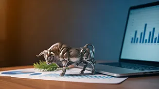 Taurus Daily Forecast: March 17, 2026 - Navigating Work Stress & Finding Evening Calm