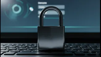 A Secure Padlock Does Not Prove a Visa Portal Is Legitimate
