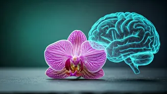 Gen Z Swaps Luxury Goods For Personal Full Wellness