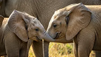 Gen Z-Friendly Wildlife Trips Are Finally Having A Moment