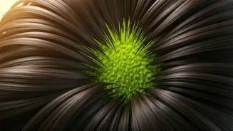 Unlock Thicker Locks: 5 Morning Rituals for Naturally Dense Hair