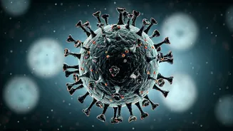 Unpacking the Flu: Symptoms, Spread, and Staying Safe