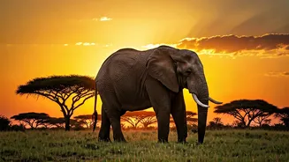 First Wildlife Trip? Read This Guide