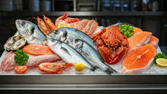 Budget 2026: Key Measures & Impacts for India