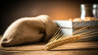 The Unseen Hands: Tracing the Journey of Your Food from Farm to Fork