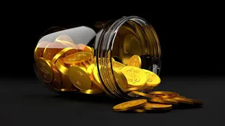 Gold Mutual Funds vs Sovereign Bonds Choosing The Best Digital Gold