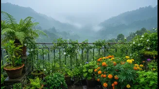 Terrace Cooling Plants Are The Monsoon Upgrade