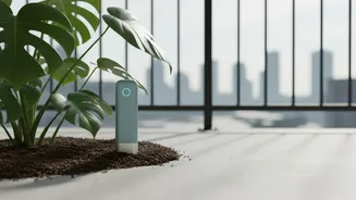 IoT Soil Probes Help Balcony Plant Parents Monitor Moisture And Avoid Overwatering