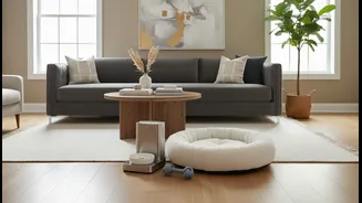 A Stay Can Welcome Pets Without Being Designed For Them