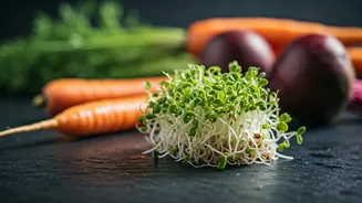 Sprouts And Root Vegetables Get Detox Energy