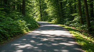 Boost Heart Health: Long Walks vs. Short Strolls?