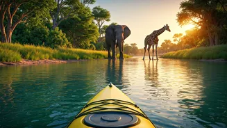 Luangwa River Kayaking: An Unforgettable Wildlife Safari Adventure