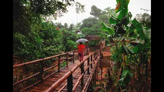 Arunachal and Meghalaya orange alert: very heavy rain May 25-27, what trekkers should skip