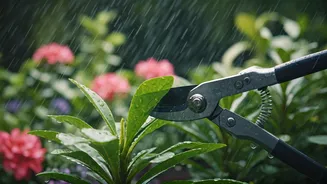June Pruning Can Save Your Rainy-Season Garden