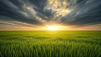 Kharif Season Is More Important Than You Think