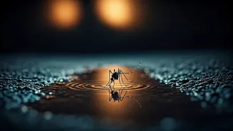 Small Water Pools Can Create Big Risks