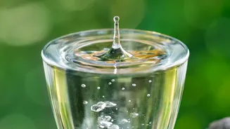 Researchers Find a Wider Gap Between Water Source and Rainfall Site