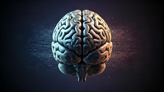 Focus On Complex Decision Making For The Ultimate Future Job Security
