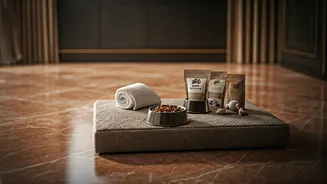 Hotels Are Making Pets Feel Like VIP Guests