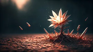 Beyond the Glow: Everyday Skincare Habits That Secretly Harm Your Skin