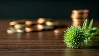 Vaishakh Amavasya 2026: Simple Remedies for Debt, Health, and Relationship Harmony