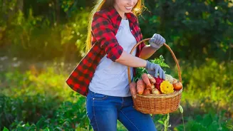 Indian Urban Gardening: What To Grow In October