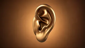 Sagittarius Today: Focus on Listening & Growth