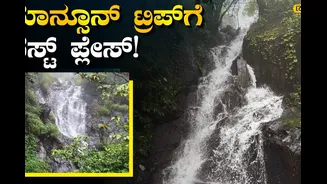 ತುಳುನಾಡಿನ ಜಲಪಾತಗಳಿಗೆ ಮತ್ತೆ ಜೀವಕಳೆ! ಎರ್ಮಾಯಿ, ಚಾರ್ಮಾಡಿ ಸೌಂದರ್ಯ ಕಣ್ತುಂಬಿಕೊಳ್ಳುವ ಮುನ್ನ ಜಾಗೃತೆ!