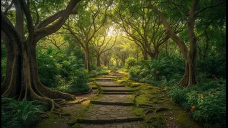 Contemplative Landscapes at Fort Canning Reveal Singapore’s Early Horticultural Story