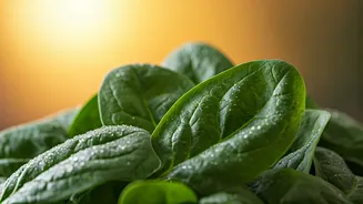 Spinach Power: Unlock Health Benefits While Avoiding Raw Risks