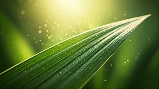 Unlock Youthful Radiance: 5 Essential Habits to Slow Skin Aging