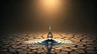 Below-Normal Monsoon Forecast Calls For Mindful Water Consumption Patterns