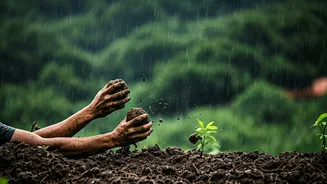 Environmental Groups Use Sudden Downpours For Seed Bombing Drives