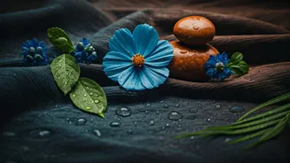 The Monsoon Palette Worth Trying Now