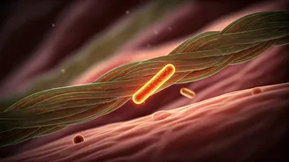 Gut Health Turns Fibre Into Main Character Energy